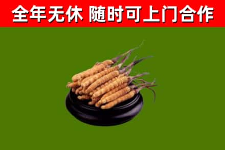 四方台区烟酒回收冬虫夏草.jpg