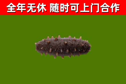四方台区烟酒回收干海参.jpg